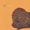 封面 Calibre - dim light Calibre - dim light