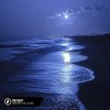 封面 Alosa, Booty Leak, Elle Blue - One Night Alosa, Booty Leak, Elle Blue - One Night