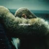 封面 Beyoncé - All Night Beyoncé - All Night