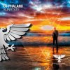 封面 DJ Phalanx - Sunstate (Extended Mix) DJ Phalanx - Sunstate (Extended Mix)