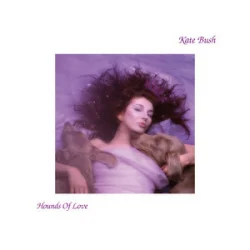 Cover Kate Bush - Running Up That Hill (A Deal With God)