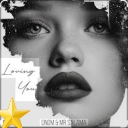 Cover DNDM, Mr Salama - Loving You (Original Mix)