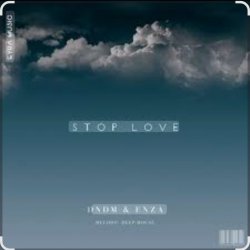 Cover DNDM feat. ENZA - Stop Love