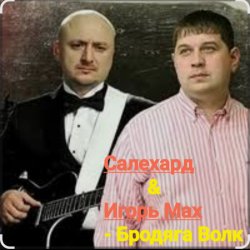 Cover группа Салехард & Игорь Мах - Бродяга волк