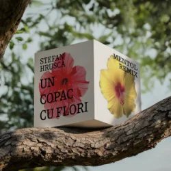 Cover Stefan Hrusca - Un copac cu flori (Mentol Remix)