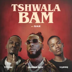 Cover TitoM & Yuppe - Tshwala Bam [feat. S.N.E]