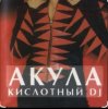 封面 Акула - Кислотный DJ Акула - Кислотный DJ