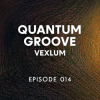 封面 Vexlum - Quantum Groove 014 Vexlum - Quantum Groove 014