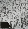 封面 Solomun feat. Tom Smith - Night Travel (Trance Wax Remix) Solomun feat. Tom Smith - Night Travel (Trance Wax Remix)