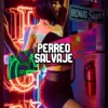 Don Omar - Dale Don Dale