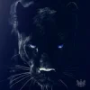 Обкладинка Adam Jamar - Black Panther Adam Jamar - Black Panther