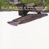 封面 DJ Sakin & Friends - Protect Your Mind (Braveheart) (Vocal Radio Mix) DJ Sakin & Friends - Protect Your Mind (Braveheart) (Vocal Radio Mix)