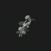 封面 John Michael Howell & JVKE & ZVC - A Thousand Year John Michael Howell & JVKE & ZVC - A Thousand Year