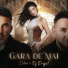 封面 Petra & DJ Project - Gara de mai Petra & DJ Project - Gara de mai