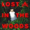 Elderbrook & Adriatique - Lost In The Woods