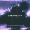 Marcus Santoro & Roan Shenoyy - Symphony (Festival Mix)