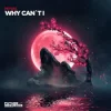 封面 Miyuki - Why Can´t I Miyuki - Why Can´t I