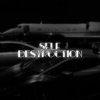 封面 Ambassador - Self Destruction Ambassador - Self Destruction