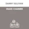 封面 Danny Sullivan - Shake Charmer Danny Sullivan - Shake Charmer