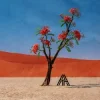 Обкладинка Axel Thesleff - Ashoka Axel Thesleff - Ashoka