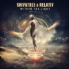 Shivatree - Divine Inspiration (Original Mix)