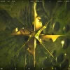 封面 What So Not & The Upbeats - Wanted What So Not & The Upbeats - Wanted