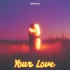 Обкладинка SMALLS - Your Love SMALLS - Your Love