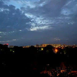 Cover ALEKCION - Танули