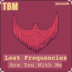 Обкладинка Lost Frequencies - Are You With Me