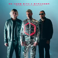Cover Don Diablo & Wiz Khalifa & Chri$tian Gate$ - Go Home With A Stranger