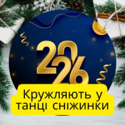 Cover Friends in Kharkiv - Кружляють у танці сніжинки