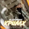 Cover Ірина Шабан - На зламаних крилах Ірина Шабан - На зламаних крилах