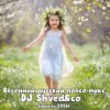 DJ Shved&co - Весенний русский попсо-микс (апрель 2026)