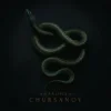 Обкладинка CHURSANOV - Анаконда (KARMV REMIX) CHURSANOV - Анаконда (KARMV REMIX)