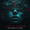 Обкладинка Sam Feldt & TAME - Lost In Desire Sam Feldt & TAME - Lost In Desire