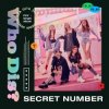 封面 SECRET NUMBER - Who Dis SECRET NUMBER - Who Dis