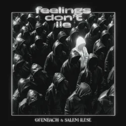 Cover Ofenbach & Salem Ilese - Feelings Don't Lie
