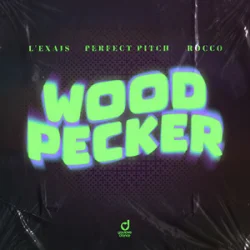 Cover L'EXAIS & Perfect Pitch & Rocco - Woodpecker