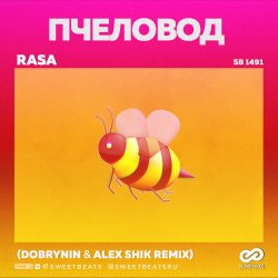 Cover RASA - Пчеловод (Dobrynin & Alex Shik Radio Edit)