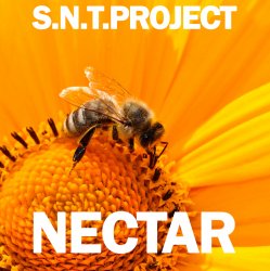 Обкладинка Nectar
