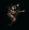 封面 Roniit - Bloom Roniit - Bloom