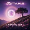 封面 ViTaLiKuS - Гармония ViTaLiKuS - Гармония