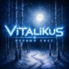 封面 ViTaLiKuS - Первый снег ViTaLiKuS - Первый снег