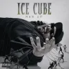 封面 Ice Cube - Freedumb Ice Cube - Freedumb