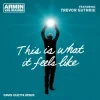 封面 Armin van Buuren & Trevor Guthrie - This Is What It Feels Like (David Guetta Remix) Armin van Buuren & Trevor Guthrie - This Is What It Feels Like (David Guetta Remix)