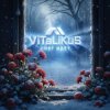 封面 ViTaLiKuS - Снег идёт ViTaLiKuS - Снег идёт