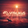 封面 ViTaLiKuS - Родина. На поле Куликовом ViTaLiKuS - Родина. На поле Куликовом