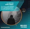 封面 DJ VANTIGO - Dark Forest DJ VANTIGO - Dark Forest