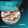 封面 Techno Ray - Fish Is Back Techno Ray - Fish Is Back