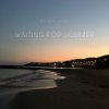 Обкладинка DJ Calypso - Waiting for Summer 2026 DJ Calypso - Waiting for Summer 2026